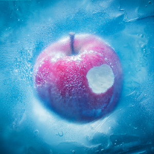 客户视频小蛇导航
