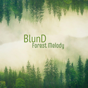 客户视频小蛇导航
