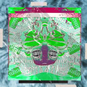 客户视频小蛇导航
