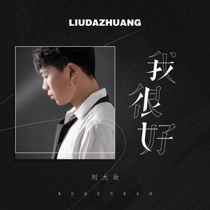 客户视频小蛇导航
