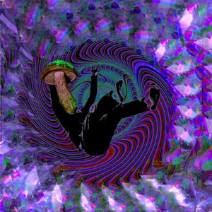 客户视频小蛇导航
