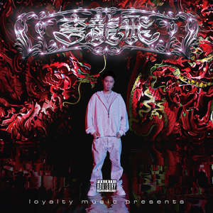 客户视频小蛇导航
