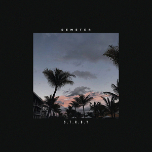 客户视频小蛇导航
