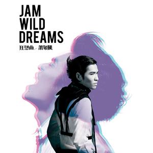 客户视频小蛇导航
