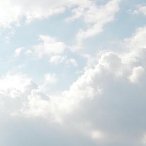 客户视频小蛇导航
